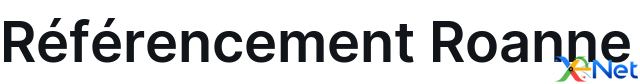 Référencement Roanne