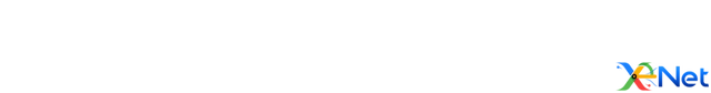 Référencement Roanne